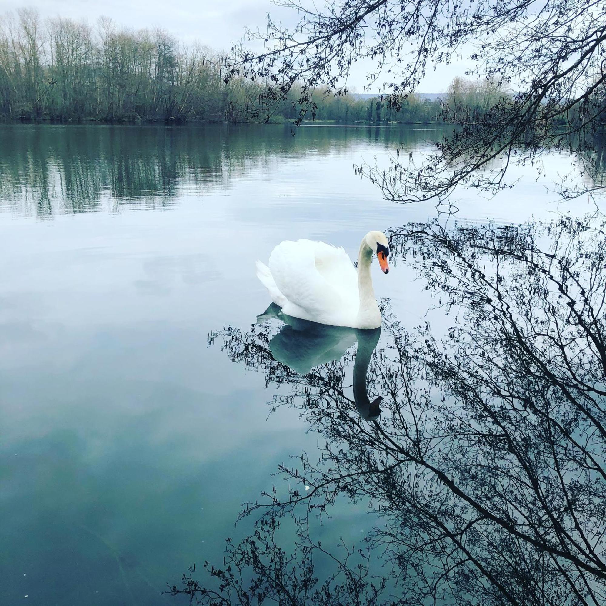 Gite De La Cote A Autreville Sur Moselle المظهر الخارجي الصورة
